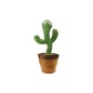 CACTUS C/MUS+MOV+RIPET 34X15CM M.DT-37