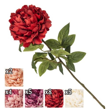 STELO PEONIA 72CM 5 ASS.