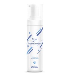 RECORD PROFESSIONAL SHAMPOO SECCO IN SCHIUMA 0,2 L