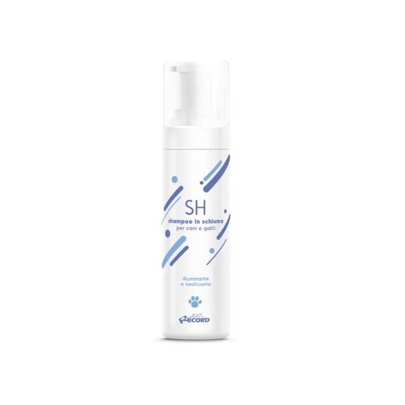 RECORD PROFESSIONAL SHAMPOO SECCO IN SCHIUMA 0,2 L