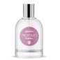 RECORD PROFESSIONAL PROFUMO 0,1 L FRUTTATO