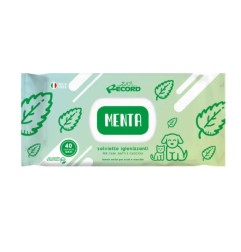 RECORD 40 SALVIETTE IGIENIZZANTI MAXI MENTA