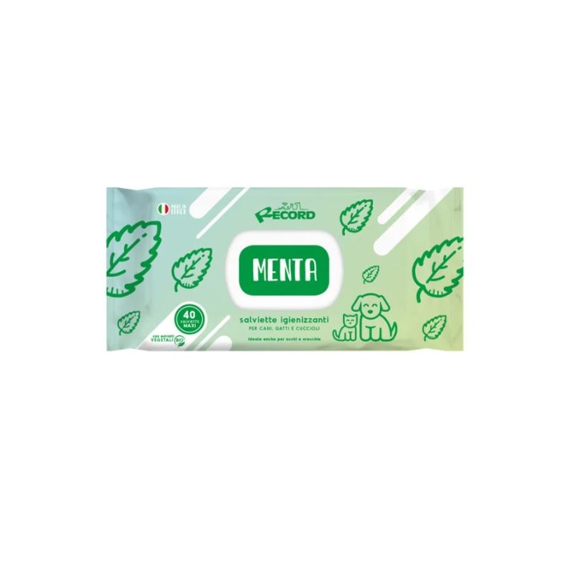 RECORD 40 SALVIETTE IGIENIZZANTI MAXI MENTA