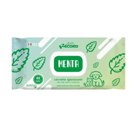 RECORD 40 SALVIETTE IGIENIZZANTI MAXI MENTA
