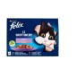 FELIX BUST.10 X 85GR PREF. MANZO/POL./ SALM/TON
