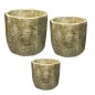 CACHE POT WILD