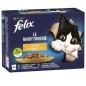 FELIX LE GHIOTTO. X GATTI PALTESSA