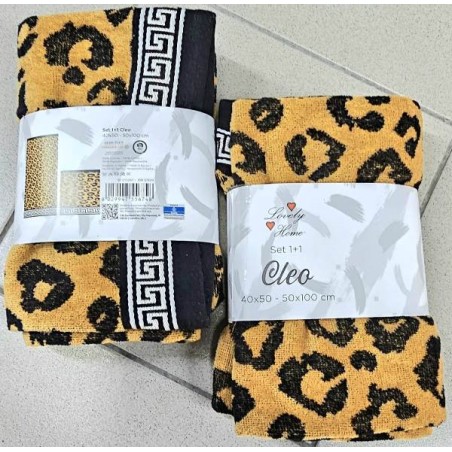 SET 1+1 CLEO