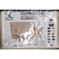 COPRIDIVANO ANTIMACCHIA FLORENCE 3PS BEI