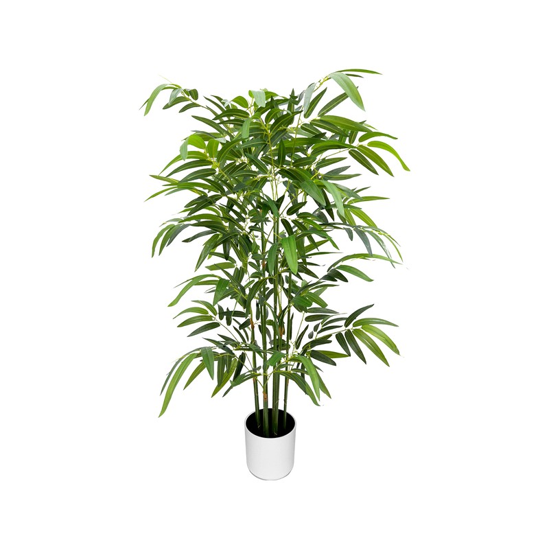 ALBERO TROPICALE PACHIRA 180 FOGLIE 100C