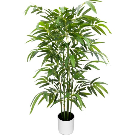 ALBERO TROPICALE PACHIRA 180 FOGLIE 100C