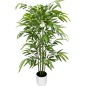 ALBERO TROPICALE PACHIRA 180 FOGLIE 100C