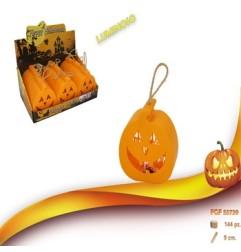 ZUCCA PLASTICA IN DISPLAY