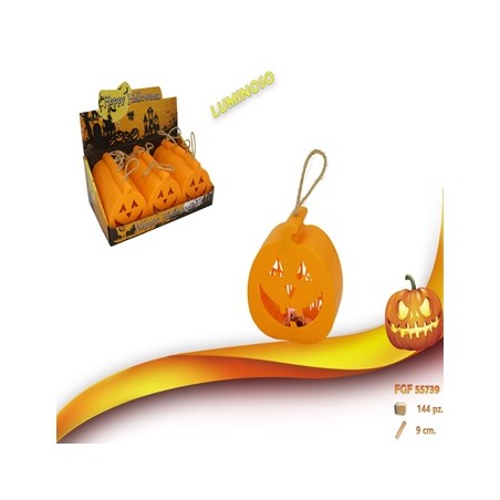 ZUCCA PLASTICA IN DISPLAY