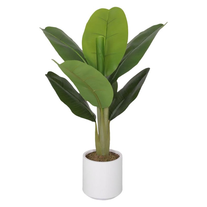 PIANTA BANANO 8 FOGLIE 75CM