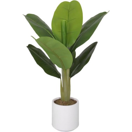 PIANTA BANANO 8 FOGLIE 75CM