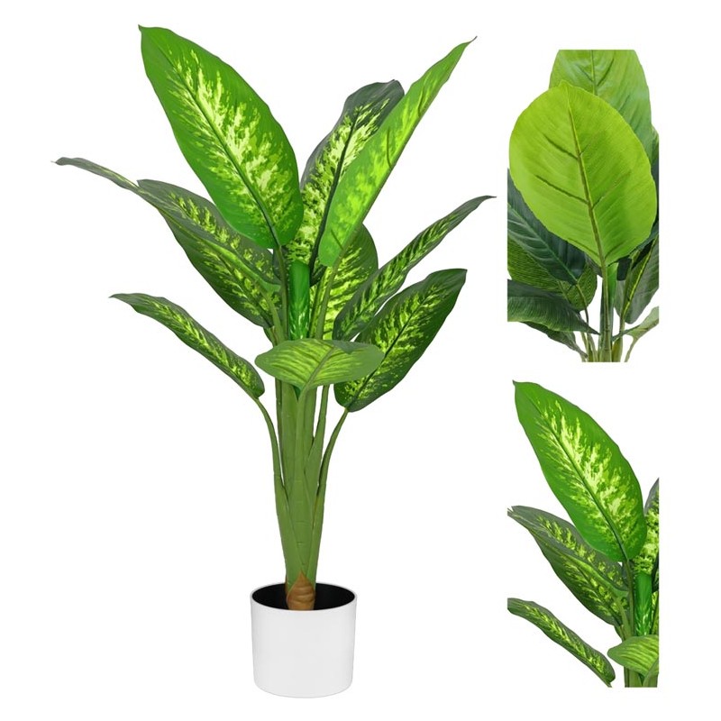 PIANTA TROPICAL DIFFENBACHIA 11 FOGLIE 90CM 2 ASS.