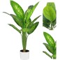 PIANTA TROPICAL DIFFENBACHIA 11 FOGLIE 90CM 2 ASS.