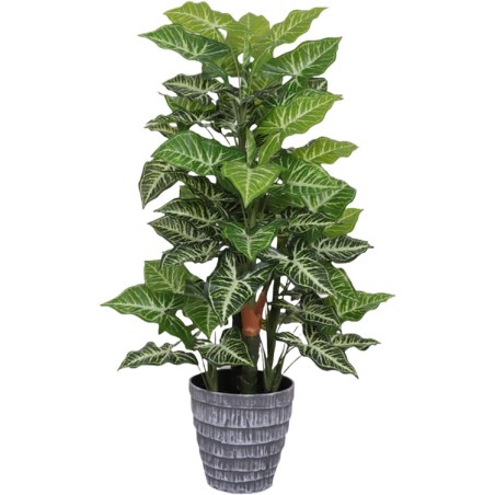 PIANTA MONSTERA POINT 85CM