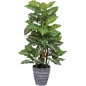 PIANTA MONSTERA POINT 85CM