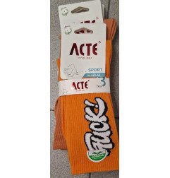 CALZINI UOMO ACTE X12 PAIA