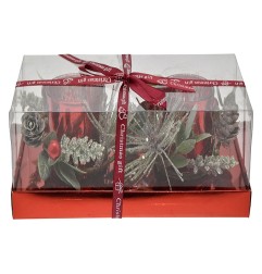 P/CANDELA 2F 22,3X11,3X7,5CM M.6570 ROSS