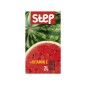 STEP GUSTO WATERMELON