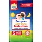 PAMPERS SOLE E L.MUTAND.JUNIOR