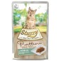 STRUZZY CAT PIATTINI CARNE 5X50GR