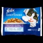 FELIX LE GHIOTTONERIE AGNELLO E CONIGLIO 4X100GR