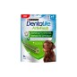 DENTALIFE SNACK CANE ACT.FRESH LARGE