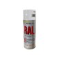 SPRAY TRASPARENTE OPACO