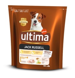 ULTIMA DOG JACK RUSSELL GR.800